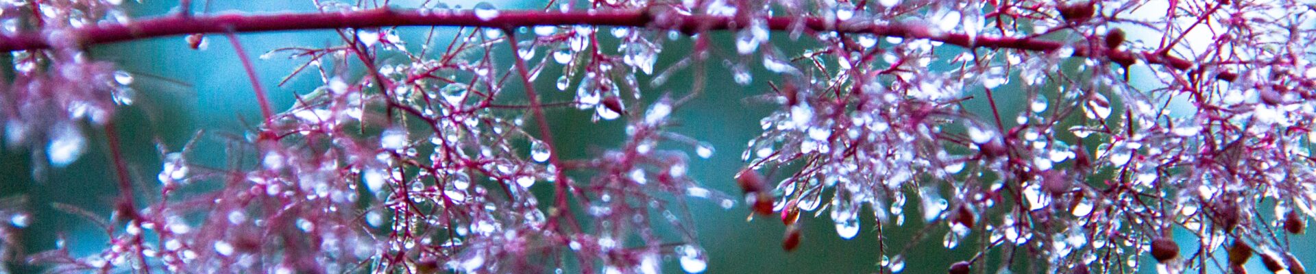 Photography #247 from test